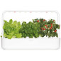 Click & Grow Smart Garden 9: Indoor Herb Garden Kit - Grow Fresh Food at Home, Year-Round! Click & Grow Smart Garden 9: Indoor Herb Garden Kit - Grow Fresh Food at Home, Year-Round!