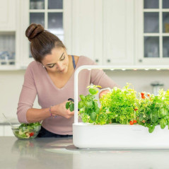 Smart Garden 9, the indoor gardening kit