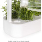 Click & Grow Smart Garden 9: Indoor Herb Garden Kit - Grow Fresh Food at Home, Year-Round! Click & Grow Smart Garden 9: Indoor Herb Garden Kit - Grow Fresh Food at Home, Year-Round!