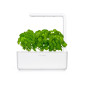 Click & Grow Smart Garden 3: Grow Fresh Herbs & Veggies Indoors - Effortless Gardening! Click & Grow Smart Garden 3: Grow Fresh Herbs & Veggies Indoors - Effortless Gardening!