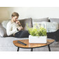 Click & Grow Smart Garden 3: Grow Fresh Herbs & Veggies Indoors - Effortless Gardening! Click & Grow Smart Garden 3: Grow Fresh Herbs & Veggies Indoors - Effortless Gardening!
