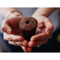 Smart Garden 3, for indoor gardening