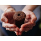Click & Grow Smart Garden 3: Grow Fresh Herbs & Veggies Indoors - Effortless Gardening! Click & Grow Smart Garden 3: Grow Fresh Herbs & Veggies Indoors - Effortless Gardening!