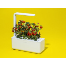 Smart Garden 3, for indoor gardening
