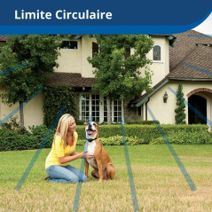 PetSafe fence, the invisible pet fence