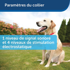 PetSafe fence, the invisible pet fence