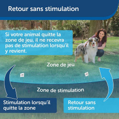 PetSafe fence, the invisible pet fence