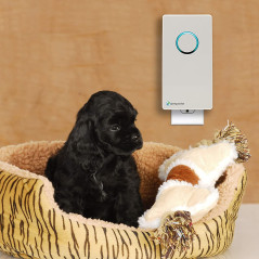GermGuardian GG1100W Elite, éliminer les germes