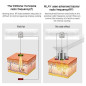 MLAY Appareil RF Anti-Âge: Lifting Visage, Réduction des Rides, Rajeunissement à Domicile MLAY Appareil RF Anti-Âge: Lifting Visage, Réduction des Rides, Rajeunissement à Domicile