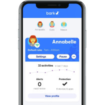 Bark Home, a better parental control