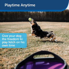 PetSafe zty00, le lanceur de balle automatique