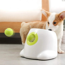 AFP Hyper Fetch, le dispositif interactif pour chien