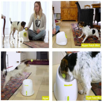 AFP Hyper Fetch, the interactive device for dogs