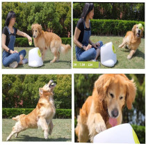 AFP Hyper Fetch, le dispositif interactif pour chien