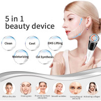 ANLAN Masseur Facial Avancé : Lifting EMS, Lumière Rouge/Bleue, Soin Chaud/Froid - Révélez Votre Jeunesse !