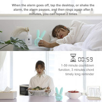 Homealexa Alarm Clock, the light alarm clock