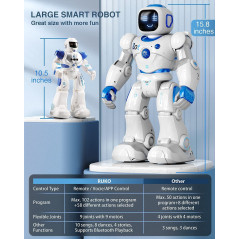 Ruko Ru4413, le robot intelligent