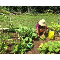 Tertill Garden, Le robot de désherbage