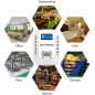 KOABBIT 2-in-1 Carbon Monoxide & Explosive Gas Detector: Protect Your Family!