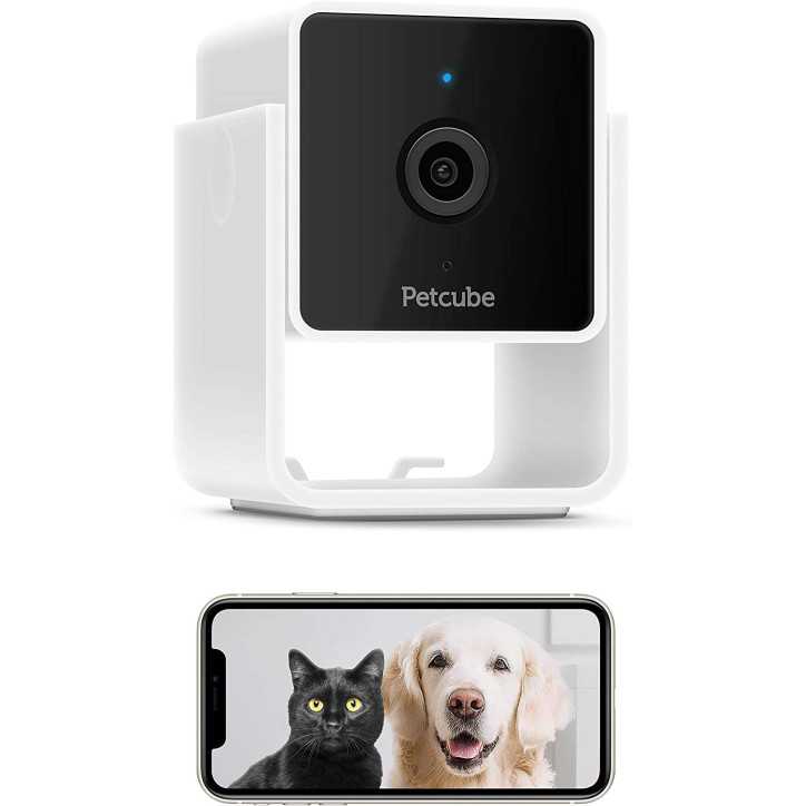 Petcube Camera: Monitor Your Furry Friends in HD with 2-Way Audio! Petcube Camera: Monitor Your Furry Friends in HD with 2-Way Audio!