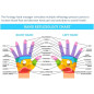 Koovon Pistolet de Massage: Soulagement Musculaire Profond + Massage Mains Offert! Purology LXB Koovon Pistolet de Massage: Soulagement Musculaire Profond + Massage Mains Offert! Purology LXB