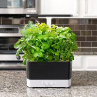 AeroGarden Harvest: Grow Fresh Herbs & Veggies Indoors All Year! Enjoy Delicious Homegrown Flavors Now!