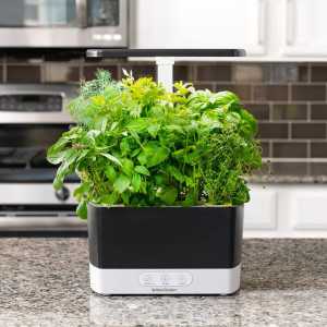 AeroGarden Harvest : Votre Jardin dIntérieur Intelligent pour Herbes et Légumes Frais
