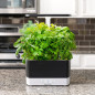 AeroGarden Harvest : Votre Jardin dIntérieur Intelligent pour Herbes et Légumes Frais AeroGarden Harvest : Votre Jardin dIntérieur Intelligent pour Herbes et Légumes Frais