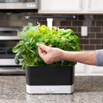 AeroGarden Harvest - Indoor Garden with LED Grow Light, Black