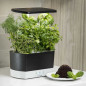AeroGarden Harvest: Grow Fresh Herbs & Veggies Indoors All Year! Enjoy Delicious Homegrown Flavors Now!