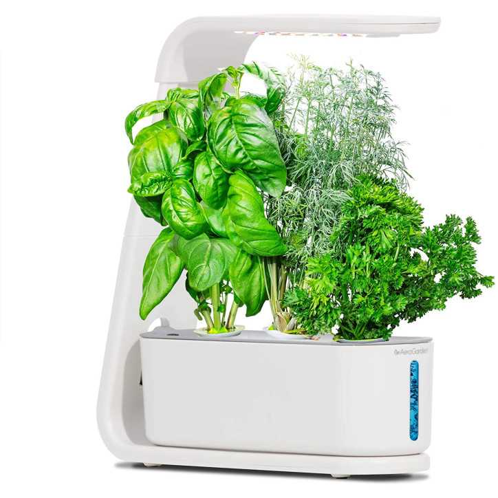 AeroGarden Sprout: Grow Fresh Herbs & Veggies Indoors - Year-Round Gardening Made Easy! AeroGarden Sprout: Grow Fresh Herbs & Veggies Indoors - Year-Round Gardening Made Easy!