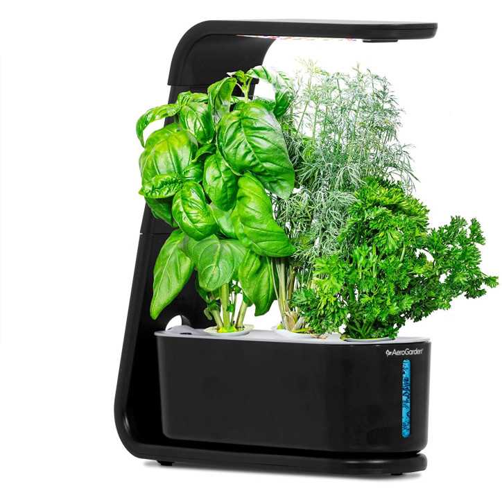 AeroGarden Sprout Noir: Votre Mini Jardin dIntérieur LED pour Herbes Fraîches
