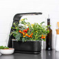 AeroGarden Sprout: Grow Fresh Herbs & Veggies Indoors - No Soil Needed!