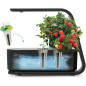 AeroGarden Sprout: Grow Fresh Herbs & Veggies Indoors - No Soil Needed!