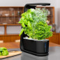 AeroGarden Sprout Noir: Votre Mini Jardin dIntérieur LED pour Herbes Fraîches