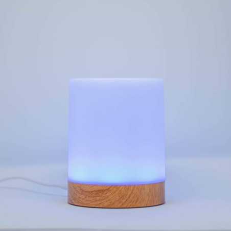 LuvLink Friendship Lamps: Stay Connected with Loved Ones, No Matter the Distance!