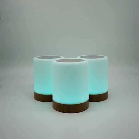 copy of Lampe friendship by LuvLink™ (deux lampes)