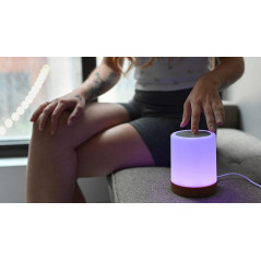 Single Friendship Lamp by LuvLink™ (one lamp only)