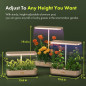 Jardin Hydroponique dIntérieur LYKO: Herbes Fraîches Toute lAnnée, Éclairage LED Pro Jardin Hydroponique dIntérieur LYKO: Herbes Fraîches Toute lAnnée, Éclairage LED Pro