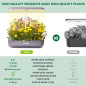 Jardin Hydroponique dIntérieur LYKO: Herbes Fraîches Toute lAnnée, Éclairage LED Pro Jardin Hydroponique dIntérieur LYKO: Herbes Fraîches Toute lAnnée, Éclairage LED Pro