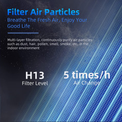 AROEVE Purificateur dAir Portable HEPA : Respirez un Air Pur et Parfumé, Idéal Allergies et Animaux