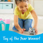 Coding Critters: Interactive STEM Toy for Early Learning & Fun! Ages 4+