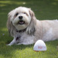 Soundcore Doggie Shusher: Portable Dog Calmer - Soothes Anxiety, USB-C Rechargeable
