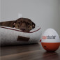 Soundcore Doggie Shusher: Portable Dog Calmer - Soothes Anxiety, USB-C Rechargeable