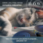 n.o.w. Tone Therapy System: 3-Minute Stress & Anxiety Relief - Find Your Peace! n.o.w. Tone Therapy System: 3-Minute Stress & Anxiety Relief - Find Your Peace!