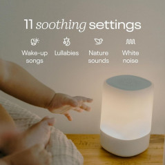 Xiaomi Mi Smart Speaker with integrated Bluetooth speaker.