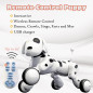Dimple Robot Puppy: Interactive Remote Control Dog Toy for Kids 2-7 - Sings, Dances & Teaches! Dimple Robot Puppy: Interactive Remote Control Dog Toy for Kids 2-7 - Sings, Dances & Teaches!