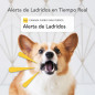 Furbo Dog Camera: Treat Tossing, 2-Way Audio, and Bark Alert - Keep Your Furry Friend Happy! Furbo Dog Camera: Treat Tossing, 2-Way Audio, and Bark Alert - Keep Your Furry Friend Happy!