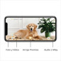 Furbo Dog Camera: Treat Tossing, 2-Way Audio, and Bark Alert - Keep Your Furry Friend Happy! Furbo Dog Camera: Treat Tossing, 2-Way Audio, and Bark Alert - Keep Your Furry Friend Happy!