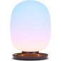 SKYVIEW Wellness Lamp: NASA-Inspired Light Therapy for Enhanced Sleep, Mood & Focus SKYVIEW Wellness Lamp: NASA-Inspired Light Therapy for Enhanced Sleep, Mood & Focus
